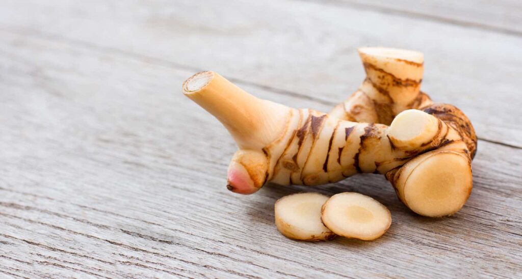 🌶️ Galangal (Alpinia Galanga)