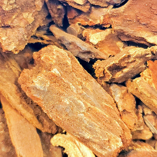 ✨ Jezebel Root – Iris Versicolor