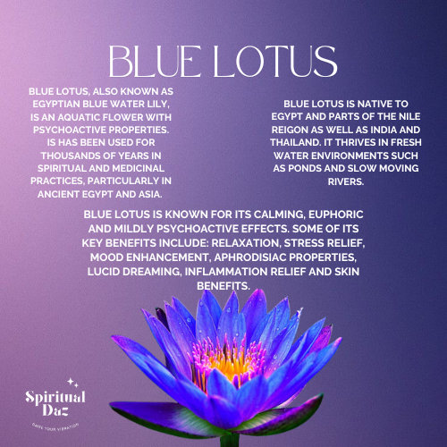 Blue Lotus