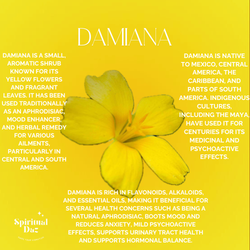 Damiana