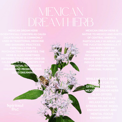 Mexican Dream Herb