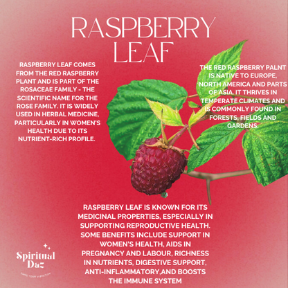 Raspberry Leaf